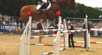 Nutrição do cavalo atleta