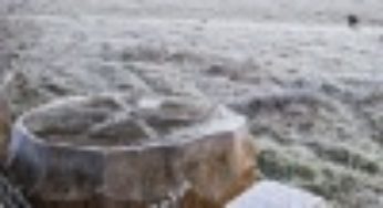 O clima mundial não está para peixe!