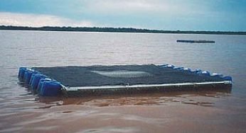 A Piscicultura em tanque-rede como Alternativa no Pantanal