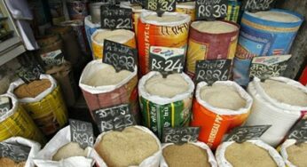 ONU: cada pessoa desperdiça por ano quase 300 kg de alimentos