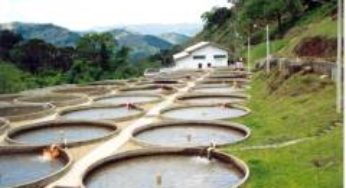Tipos de piscicultura