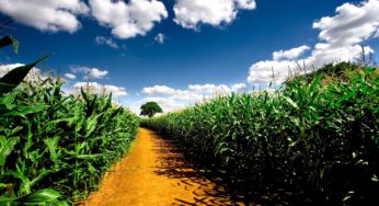 Dia de campo discute tecnologias para uma agricultura de baixa emissão de carbono