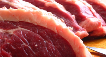 Brasil exporta 25,80 mil toneladas de carne bovina in natura até a segunda semana de abril
