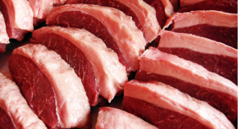 Brasil exporta 367,00 mil toneladas de carne bovina no primeiro trimestre de 2016