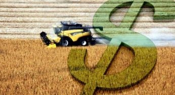 Produção agrícola de MS deve cair 6,0% com atraso em plantio de milho
