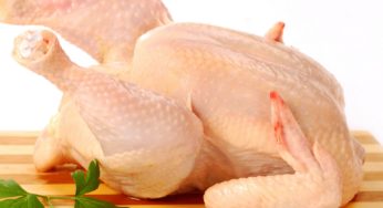 Efeito da IA sobre as exportações de frango dos EUA e do Brasil