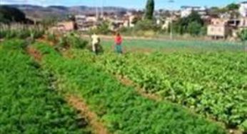 Agronegócio mineiro gerou mais de R$ 170 bilhões em 2015