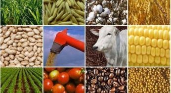 Agronegócio responde por mais da metade de todas as vendas externas do Brasil em março