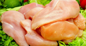 Carne de frango: para USDA, em 2016 Brasil responderá por 38% do comércio mundial