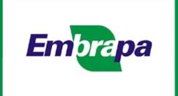 Estudo da Embrapa revela a repartição territorial do valor da produção no Brasil