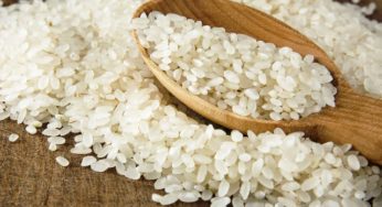 Arroz/Cepea: Com produtor retraído, Indicador segue em alta
