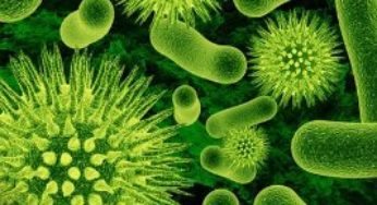Mercado de produtos agrícolas biológicos pode atingir US$ 10,05 bilhões até 2020
