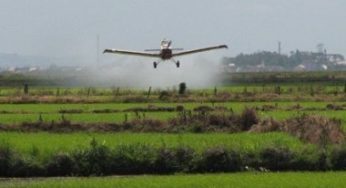 Fórum Gaúcho de Combate aos Impactos dos Agrotóxicos realizará audiência pública sobre segurança alimentar
