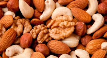 Fiesp reúne insdústria de alimentos cosméticos e fármacos com produtores de nozes e castanhas