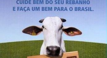 TO: Vacinação contra febre aftosa termina dia 31 de maio