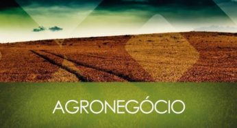 Agronegócio mineiro apresenta tendência de crescimento em 2016