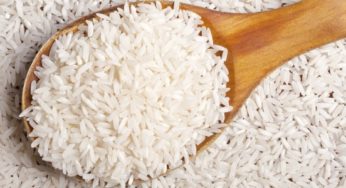 Primeiro ano do Arroz Protegido tem R$ 2,97 milhões em sinistros