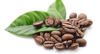 Safra 2016 de café deve passar de 49 milhões de sacas