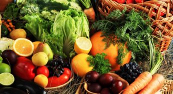 Novo sistema de conservação traz maior tempo de durabilidade de frutas e hortaliças