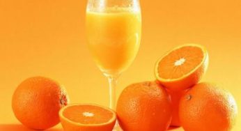 CitrusBR apresenta ações para incentivar o consumo de suco de laranja na Europa