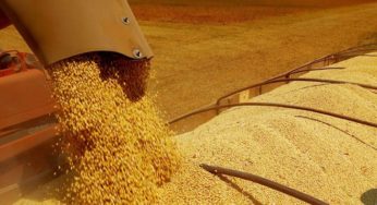 Soja/Cepea: Preço nominal do grão é o maior desde 2012