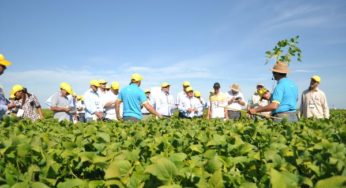 Dia de Campo trata de tecnologias voltadas à pequena propriedade produtiva e sustentável