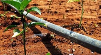 Netafim participa da Bahia Farm Show e apresenta tecnologia conta a gota aos produtores