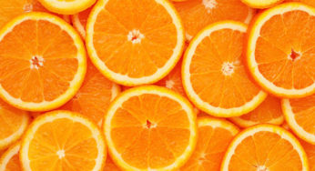 Safra da laranja é estimada em 245,74 milhões de caixas