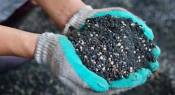 Oceana leva linha de fertilizantes a produtores de Petrolina