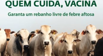 Aftosa: campanha de vacinação termina nesta terça