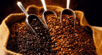 Café/Cepea: Estoques da safra 15/16 podem ser os menores desde 11/12