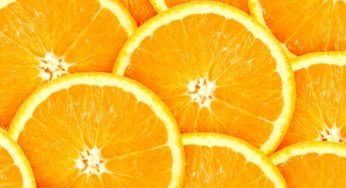 Processamento de laranja encerra safra com pior rendimento de todos os tempos