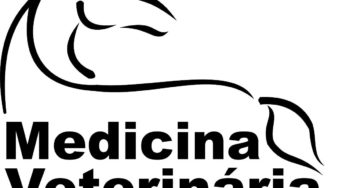 UPF traz turma da Veterinária para visitar a Cotrijal