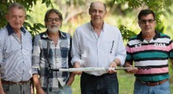 Desperfilhador para bananeiras já pode ser encontrado no mercado