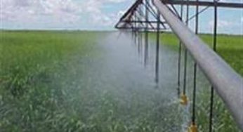 Extensionistas participam de curso sobre irrigação por aspersão