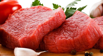 Brasil fatura mais de meio milhão de dólares com exportação de carne bovina em maio