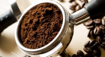 Santander oferece R$ 90 milhões em crédito pré-aprovado na Expo Café