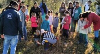 No Dia da Floresta, crianças fazem plantio de árvores em Taquara