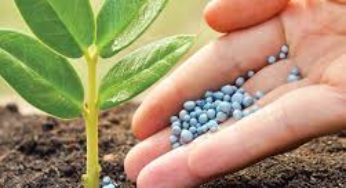 Importação de fertilizantes cresce 2% em maio