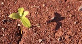 Manejo Agroecológico é tema de seminário realizado pela Emater