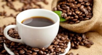 Café/Cepea: Comercialização segue lenta no Brasil