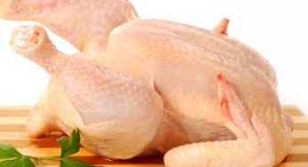 Embarques de carne de frango: o melhor maio de todos os tempos
