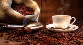 Café/Cepae: Geadas preocupam, mas perdas não devem ser expressivas