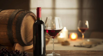Iniciativa pioneira ensina técnicas de análise sensorial para produtores de vinhos artesanais