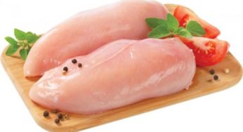 Frango/Cepea: Preço do filé se mantém estável, mas coxa e asa oscilam