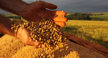Soja despenca em dia negativo para commodities – Análise Agrolink