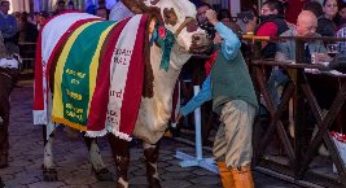 Expointer: Inscrições de animais a galpão encerram nesta sexta-feira