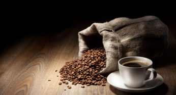 42º Congresso Brasileiro de Pesquisas Cafeeiras será realizado em Serra Negra, São Paulo, de 18 a 21 de outubro de 2016