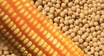 Produtores do Mato Grosso, Goiás e Paraná recebem o Rally Agroeste no mês de julho