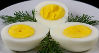 Ovos/Cepea: Cotações do branco se estabilizam, mas as do vermelho, caem